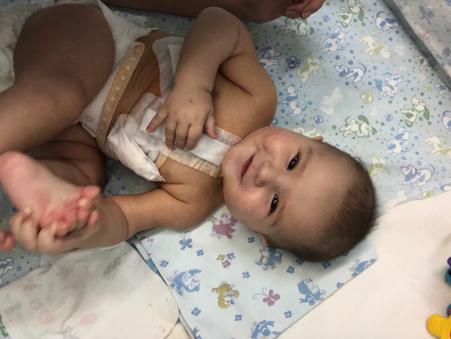 Акра Айман - фото 2