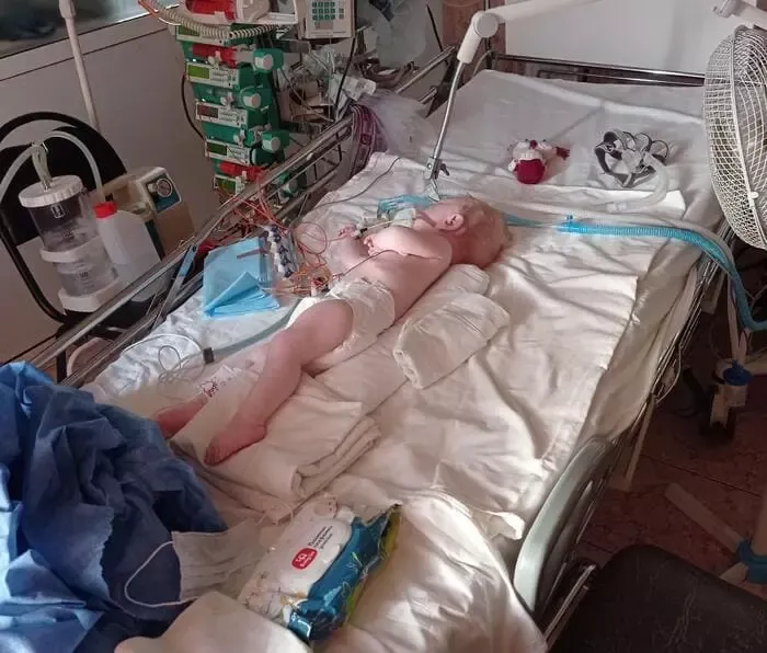 Петров Кирилл - фото 1