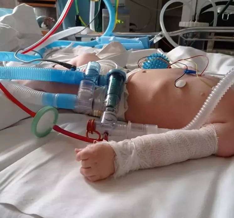 Петров Кирилл - фото 2